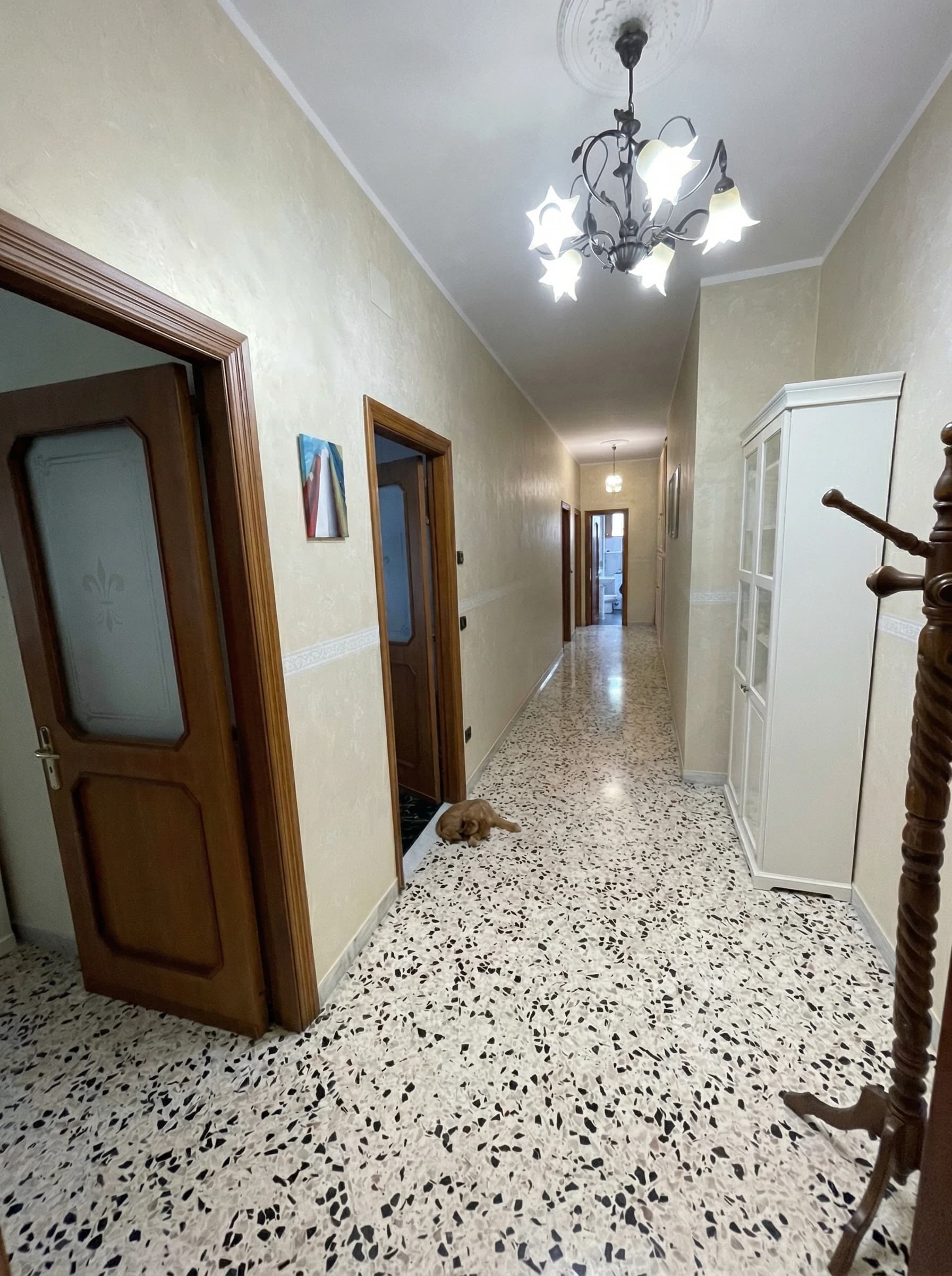 The apartment hallway